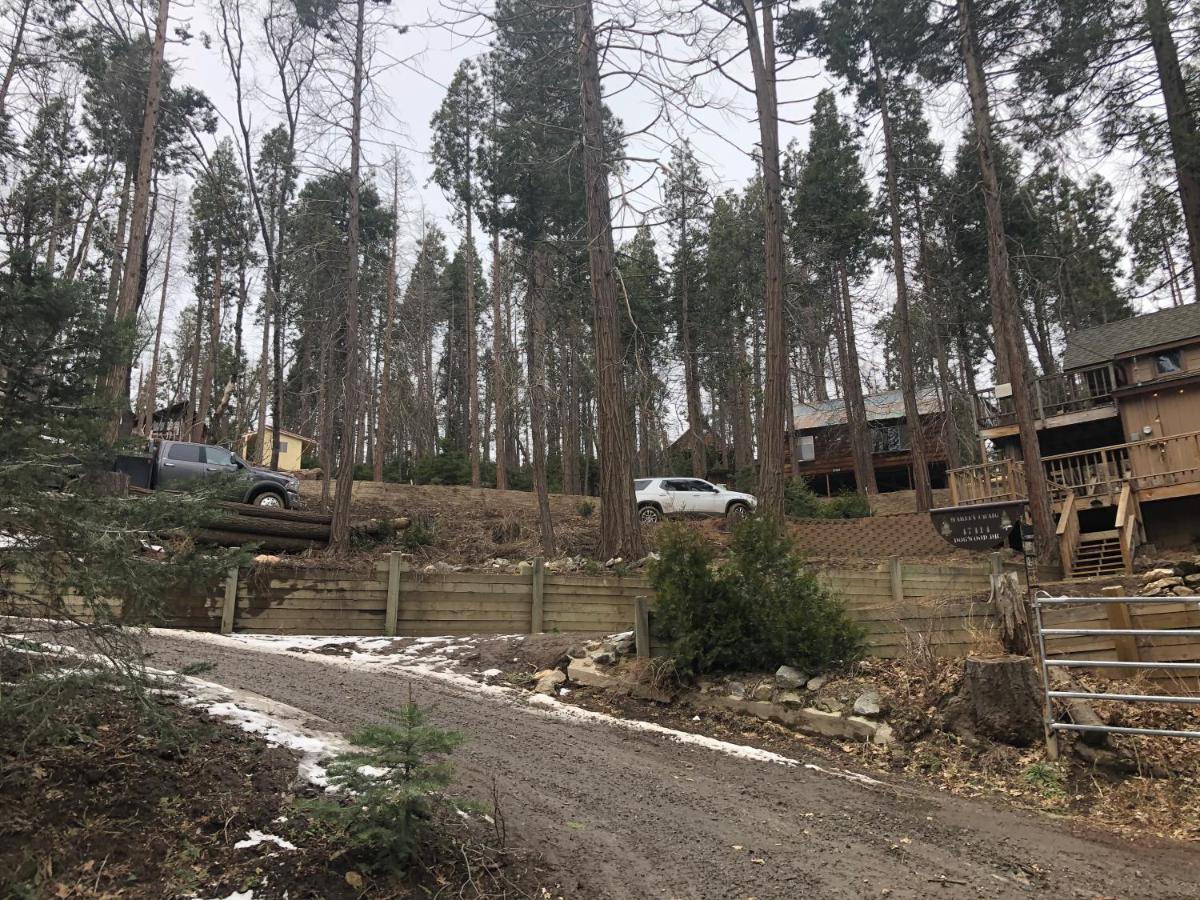 Sequoia National Forest Cabinh Panorama Heights Bagian luar foto