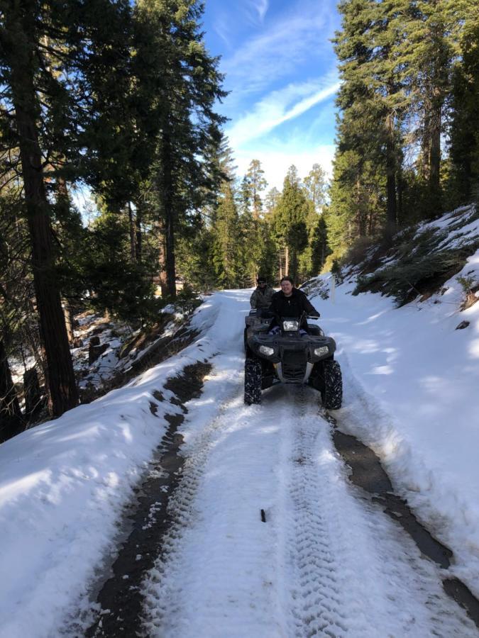 Sequoia National Forest Cabinh Panorama Heights Bagian luar foto